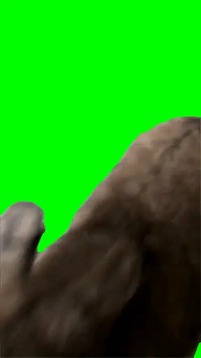 Bunny Denying Food green screen meme