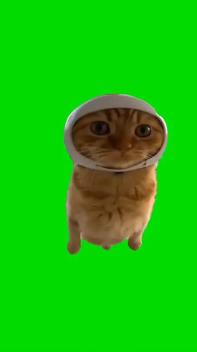 Cat Helicopter green screen meme