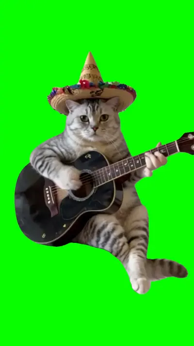 Cat Playing Guitar green screen meme