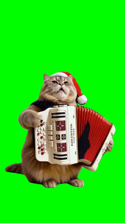 Cat Playing Jingle Bells green screen meme