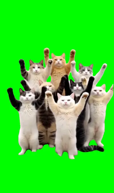 Cats Dancing Ramadan green screen meme