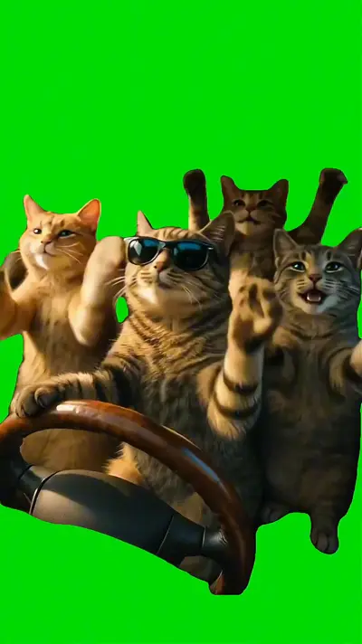 Cats Karaoke In Car green screen meme
