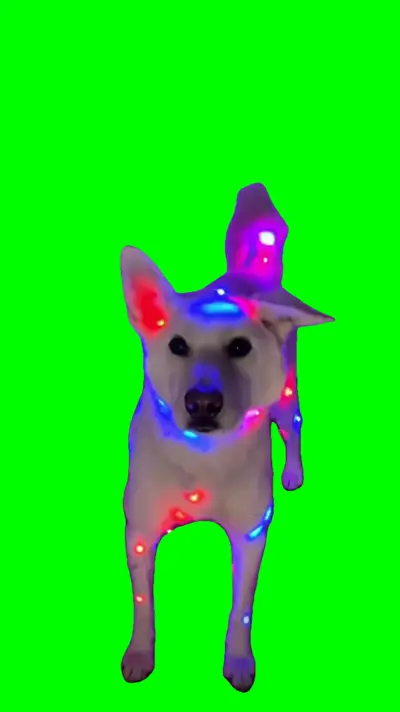 Christmas Dog green screen meme
