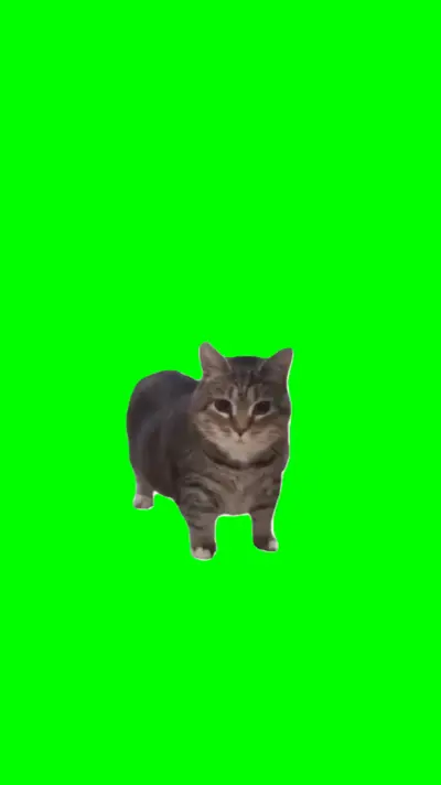 Christmas Oooiiiaaa Cat green screen meme