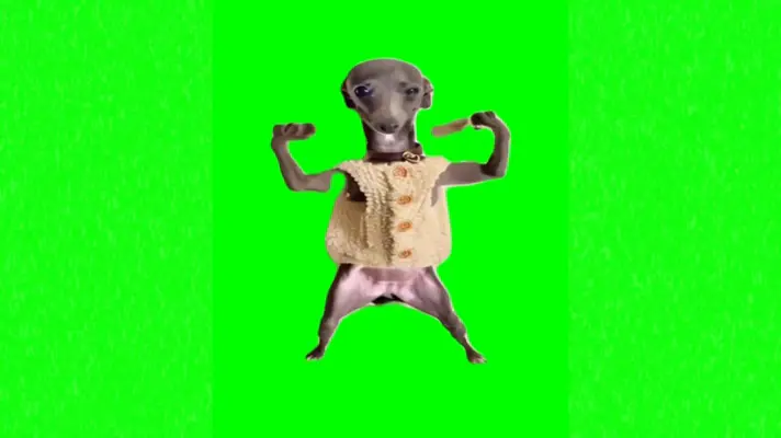 Dancing Dog green screen meme