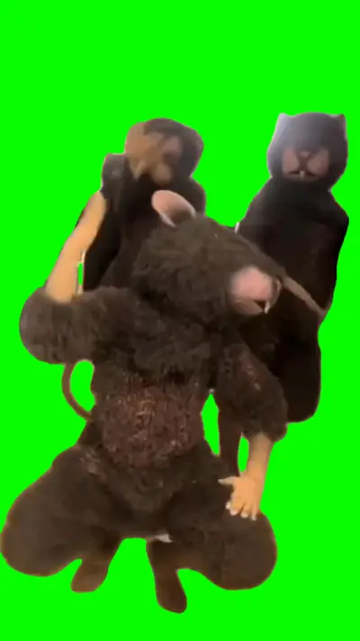 Dancing Rats green screen meme
