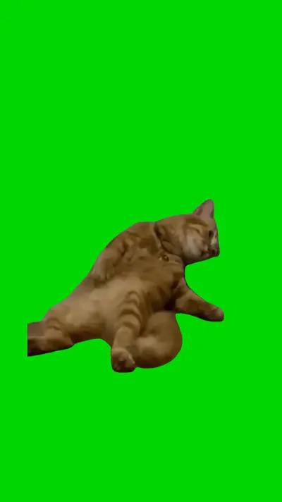 Depressed Cat green screen meme