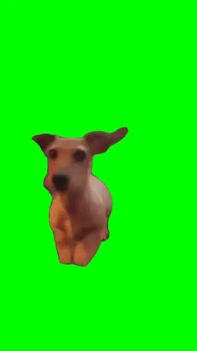 Excited Dog green screen meme