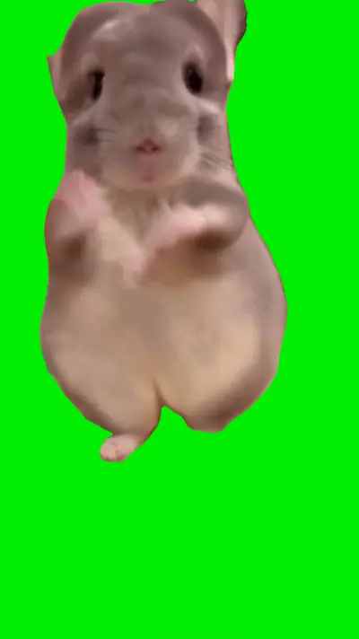 Hamster Dancing green screen meme