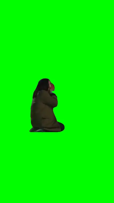 Lady Sobbing green screen meme
