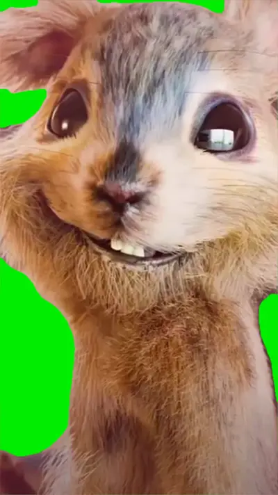 Looking Back green screen meme