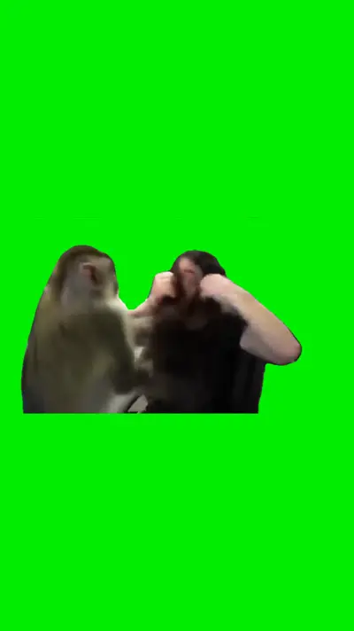 Monkey Attacks green screen meme