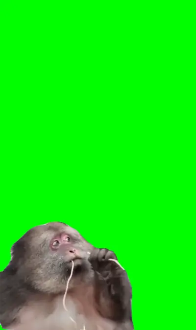 Monkey Looking Around green screen meme