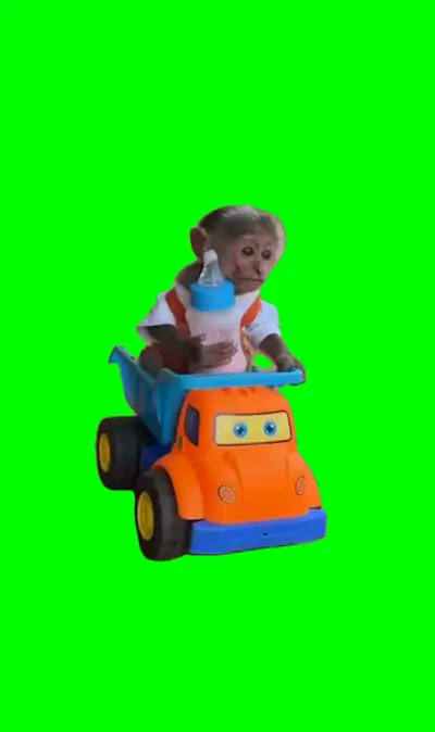 Monkey Riding Toy Truck Falls Off green screen meme