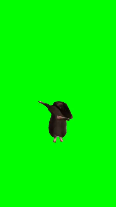 Rats Sigma Boy green screen meme