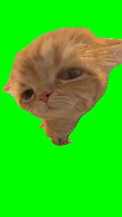 Rizzler Cat green screen meme