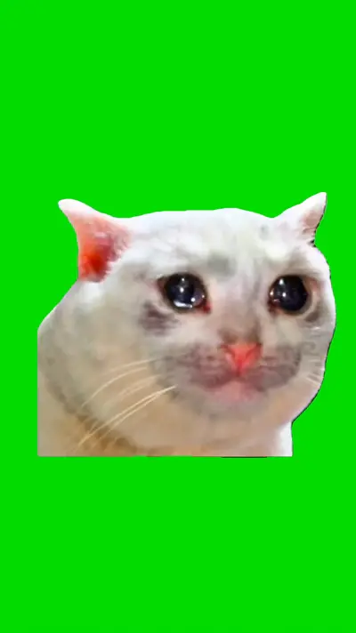 Sad Cat Crying green screen meme