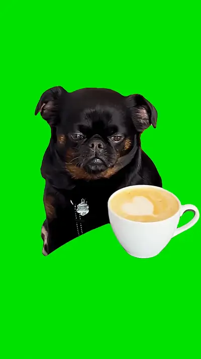 Sad Dog Thinking green screen meme