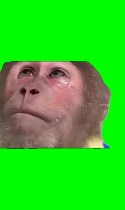 Sad Monkey green screen meme