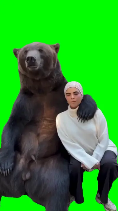 Taking Pictures With Bear green screen meme