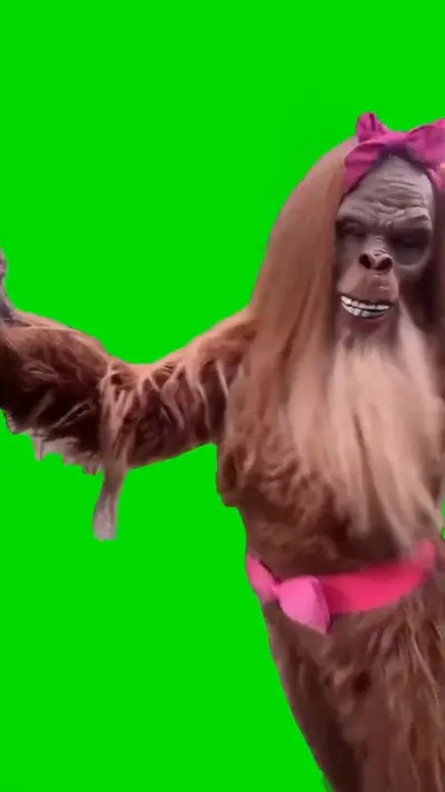 Tung Tung Tung Sahur Gorilla Dance green screen meme