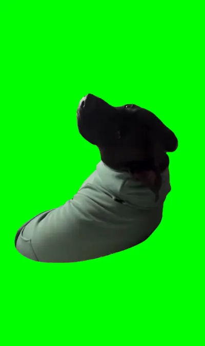 Why Are You Mad At Me green screen meme